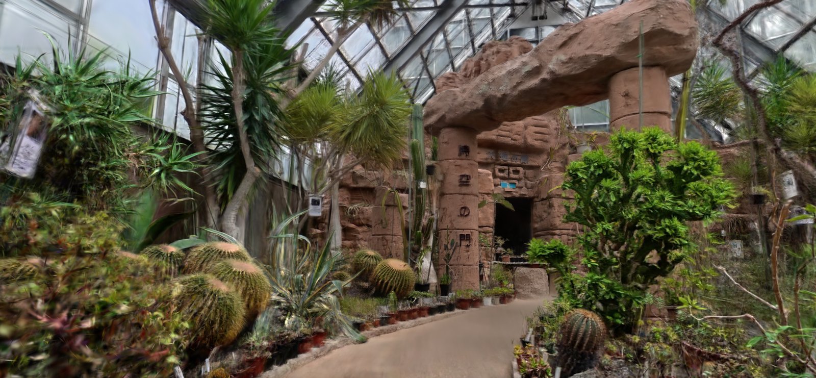 植物園のサボテン温室