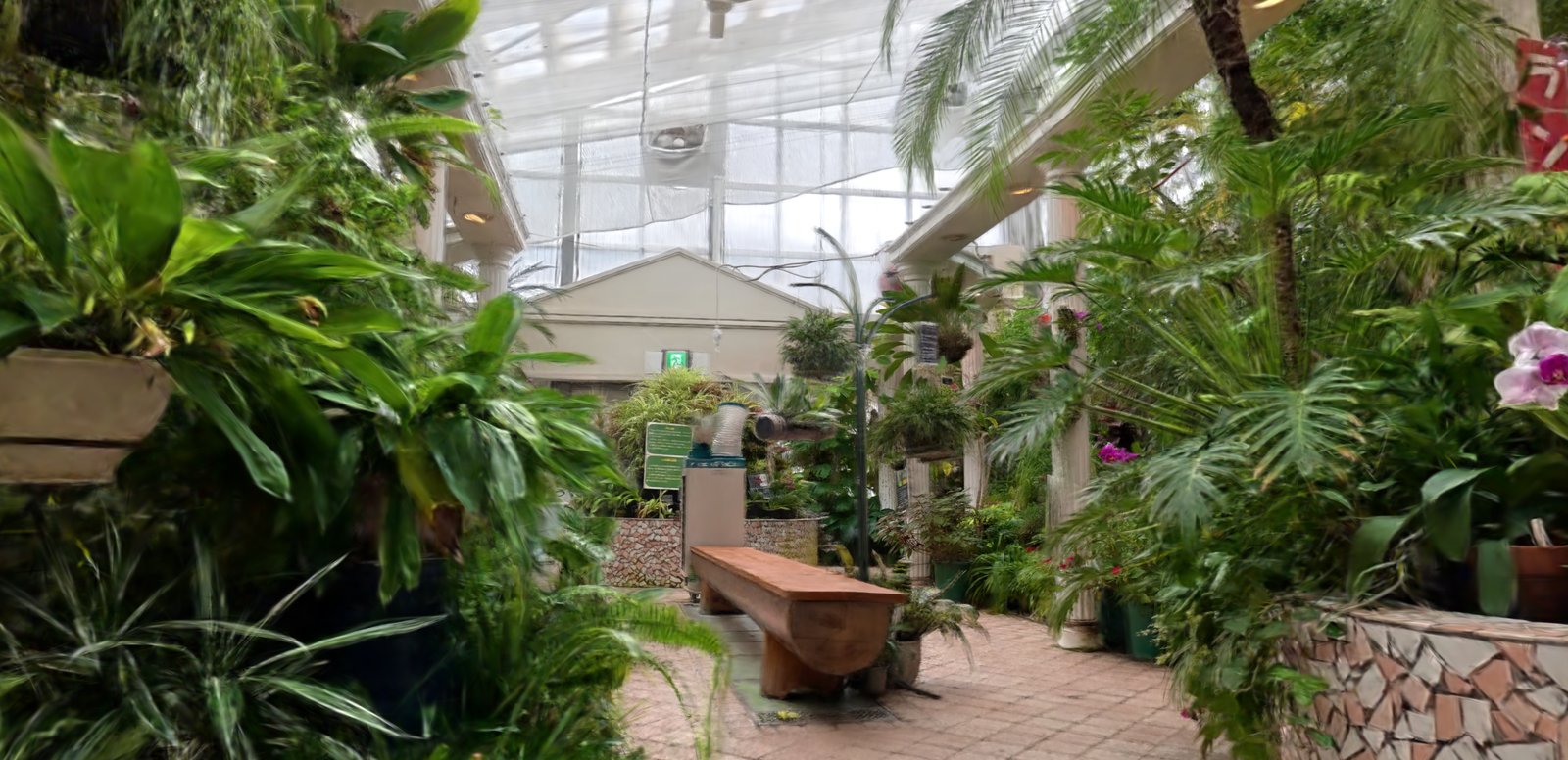 植物園のラン温室